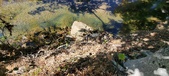 Enlarge photo 40
