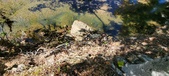 Enlarge photo 44