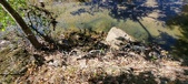 Enlarge photo 43