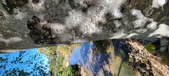 Enlarge photo 41
