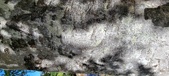 Enlarge photo 46