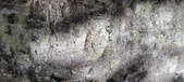 Enlarge photo 45