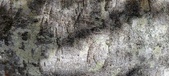 Enlarge photo 52