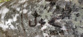 Enlarge photo 51