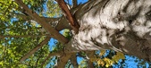 Enlarge photo 49