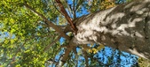 Enlarge photo 53