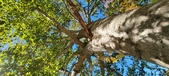 Enlarge photo 54