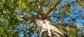 Enlarge photo 55