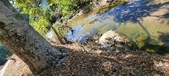 Enlarge photo 56