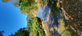 Enlarge photo 58
