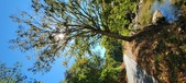 Enlarge photo 57
