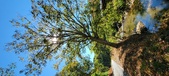 Enlarge photo 64