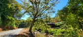 Enlarge photo 63