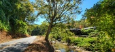 Enlarge photo 62
