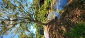 Enlarge photo 61