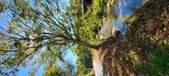 Enlarge photo 68