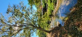 Enlarge photo 66
