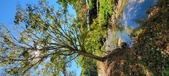 Enlarge photo 65