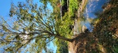 Enlarge photo 69