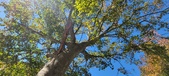 Enlarge photo 70