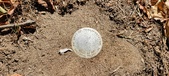 Enlarge photo 73
