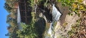 Enlarge photo 77