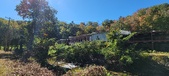 Enlarge photo 97
