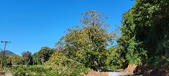 Enlarge photo 107