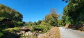Enlarge photo 106