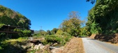 Enlarge photo 105