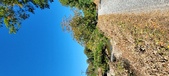 Enlarge photo 112