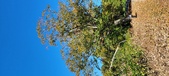 Enlarge photo 111
