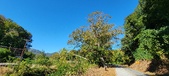Enlarge photo 109