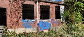 Enlarge photo 115