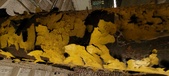 Enlarge photo 125