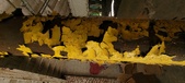 Enlarge photo 127