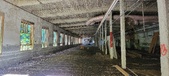 Enlarge photo 139