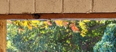 Enlarge photo 144