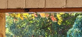 Enlarge photo 145