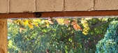 Enlarge photo 146