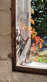 Enlarge photo 358