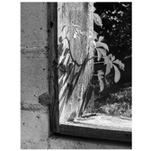 Enlarge photo 363