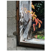 Enlarge photo 359