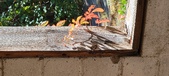 Enlarge photo 147