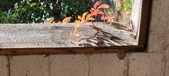 Enlarge photo 148