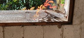 Enlarge photo 149