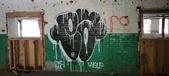 Enlarge photo 393