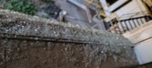 Enlarge photo 436