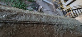 Enlarge photo 437
