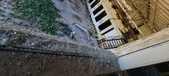 Enlarge photo 439